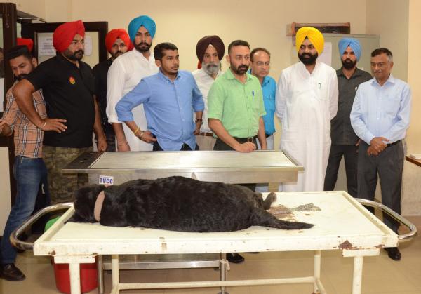 S. Laljit Singh Bhullar Visit at Multi-Specialty Veterinary Hospital 